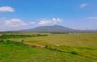 Residential Land in Naivasha - 8