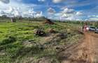 0.125 ac Residential Land at Ruiru - Githunguri Road - 3