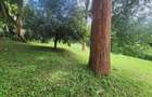 0.76 ac Commercial Land at Laikipia Road - 8