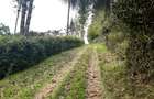 0.125 ac Land in Limuru - 4