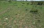 4 ac Residential Land in Kiserian - 10