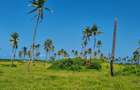 50 ac Land at Kilifi - 18