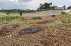 0.05 ha Residential Land in Kikuyu Town - 8