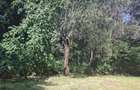 0.75 ac Residential Land at Off Naivasha Avenue - 1