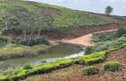 0.5 ac Land at Limuru Girls Secondary School - 13