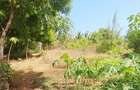 Land at Vipingo - 7