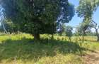 6 ac Land at Mtepeni - 7