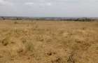 1 ac Residential Land at Sifa Estate - 14