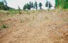 50,100 ft² Residential Land in Kamangu - 4