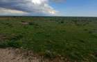 0.045 ha Residential Land at Ol Pejeta - 2