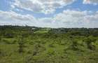 Land at Matasia - 4