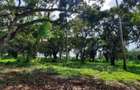 46 ac Land at Greenwood Mtwapa - 4