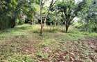 1 ac Land in Runda - 1