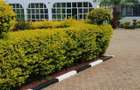 Commercial Property with Service Charge Included in Runda - 1
