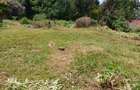 400 ac Land at Kilimani - 11