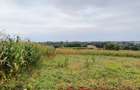 Residential Land at Anmar Estate - 4