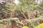1 ac Land in Spring Valley - 4