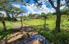 0.5 ac Land at Masai Lodge - 4