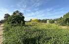 0.25 ac Land in Tatu City - 3