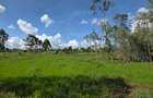 Commercial Property with Service Charge Included at Mutuini Primary - 10