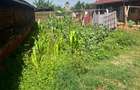 Land at Ndenderu Town - 5