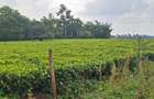 Residential Land in Tigoni - 1