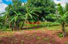 0.1 ha Residential Land at Thogoto - 7