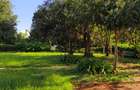 3 ac Land in Runda - 2