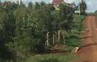 10,000 ft² Residential Land at Mhasibu Gardens Silver Birch Ruiru - 1