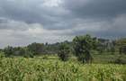 0.25 ac Residential Land in Ngong - 1