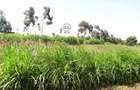 2 ac Land at Ihindu Area - 6