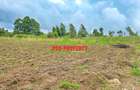 0.1 ha Residential Land at Gikambura - 7