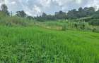 1 ac Residential Land at Tigoni - 10