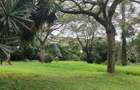 200 ac Land at Kilimani - 3