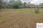 0.25 ac Land at Kerarapon Drive - 4