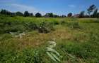 1 ac Land in Kiambu Road - 1