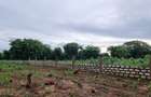 5 ac Land at Vipingo - 12