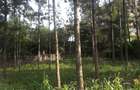 0.113 ac Commercial Land in Ongata Rongai - 17