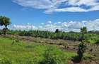 1 ac Land at Vipingo - 8
