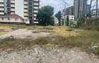 0.33 ac Land at Oceanic Road - 4