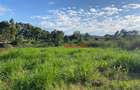 6,000 m² Land in Limuru - 6