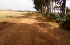 Land at Timau - 17