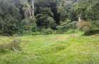 7 Bed House with En Suite at Muthaiga - 12