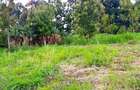 Residential Land in Kikuyu Town - 1
