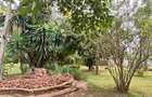 5 Bed Villa with En Suite at Kisembe - 12