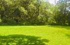 Residential Land at Ndege Road - 1