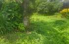 Land in Karen - 7