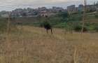 15 ac Land at Thika Road - 1