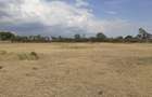 0.125 ac Land in Nanyuki - 8