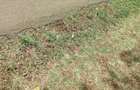 Land at Karen - 6